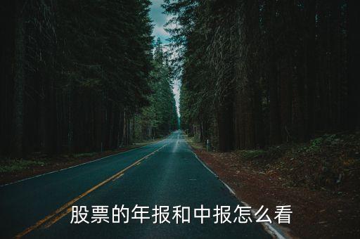  股票的年報和中報怎么看