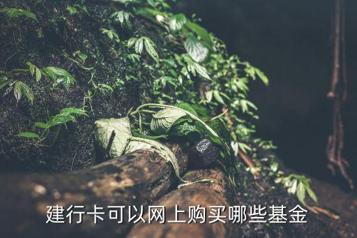 建行卡可以網(wǎng)上購(gòu)買(mǎi)哪些基金