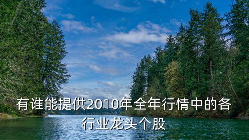 有誰能提供2010年全年行情中的各行業(yè)龍頭個(gè)股