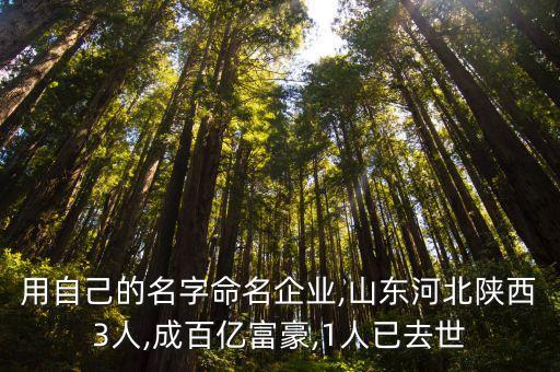 用自己的名字命名企業(yè),山東河北陜西3人,成百億富豪,1人已去世