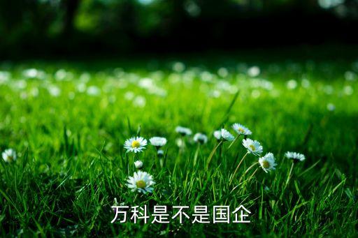 萬(wàn)科公司治理結(jié)構(gòu)圖,四會(huì)一層公司治理結(jié)構(gòu)圖