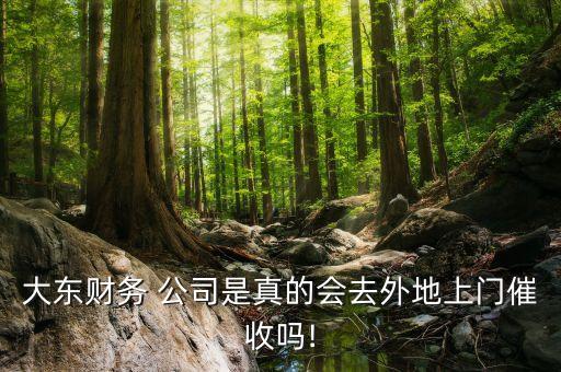 大東財(cái)務(wù) 公司是真的會(huì)去外地上門催收嗎!