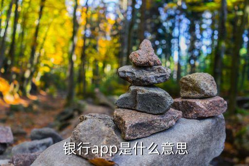  銀行app是什么意思