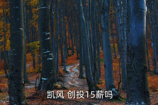  凱風(fēng) 創(chuàng)投15薪嗎