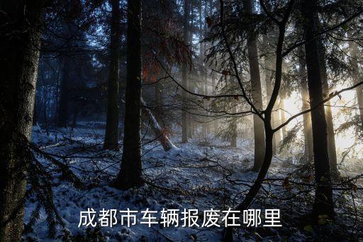 鐵建民爆專營(yíng)有限公司,慶元縣民爆器材專營(yíng)有限公司