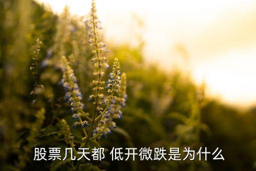  股票幾天都 低開(kāi)微跌是為什么