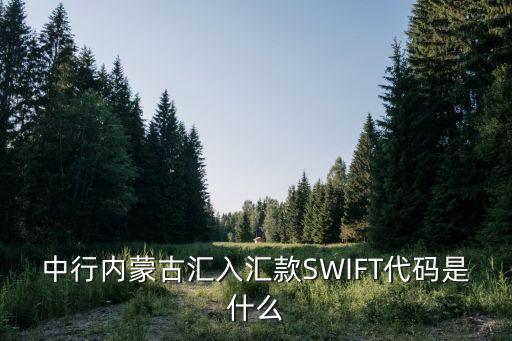 中行內(nèi)蒙古匯入?yún)R款SWIFT代碼是什么