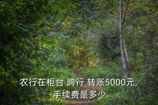 農(nóng)行在柜臺(tái) 跨行 轉(zhuǎn)賬5000元, 手續(xù)費(fèi)是多少