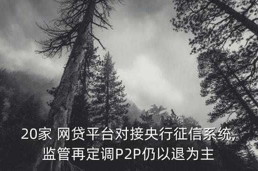 中國(guó)p2p網(wǎng)貸,中國(guó)P2P網(wǎng)貸平臺(tái)運(yùn)營(yíng)中存在的風(fēng)險(xiǎn)主要有哪些?