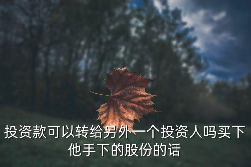 投資款可以轉(zhuǎn)給另外一個(gè)投資人嗎買下他手下的股份的話