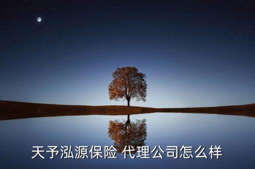 天予泓源保險(xiǎn) 代理公司怎么樣