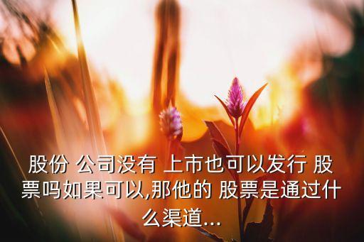 沒(méi)有上市的公司有股票嗎,公司上市股票翻多少倍