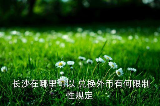  長(zhǎng)沙在哪里可以 兌換外幣有何限制性規(guī)定