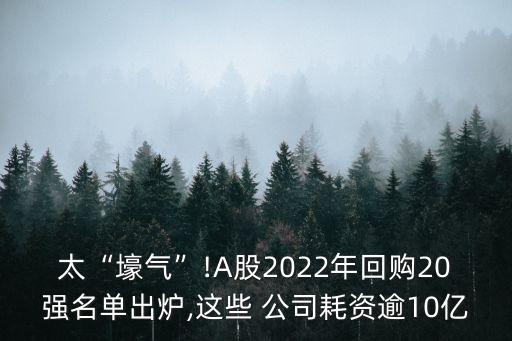 太“壕氣”!A股2022年回購20強名單出爐,這些 公司耗資逾10億