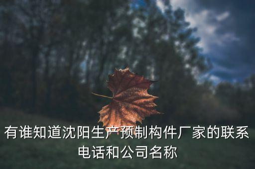 有誰知道沈陽生產(chǎn)預(yù)制構(gòu)件廠家的聯(lián)系電話和公司名稱