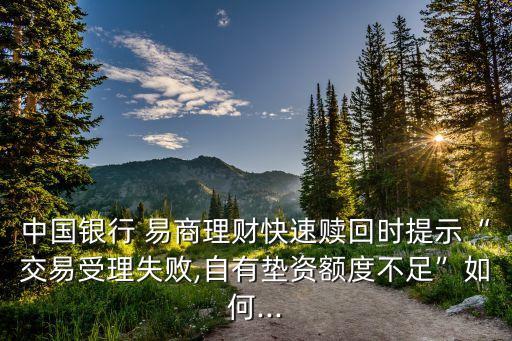 中國銀行 易商理財快速贖回時提示“交易受理失敗,自有墊資額度不足”如何...