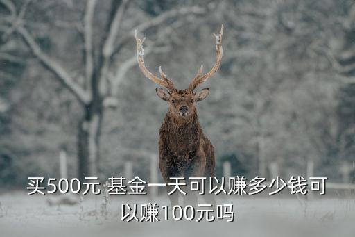 買(mǎi)500元 基金一天可以賺多少錢(qián)可以賺100元嗎