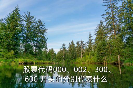  股票代碼000、002、300、600 開頭的分別代表什么