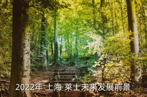 2022年 上海 萊士未來發(fā)展前景