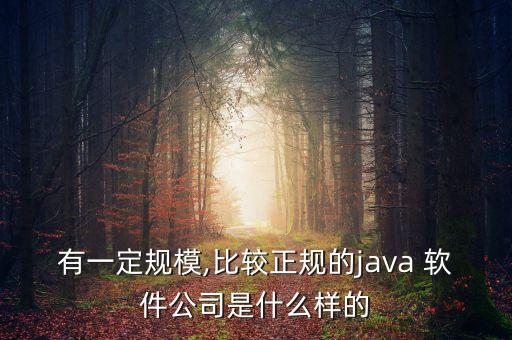 有一定規(guī)模,比較正規(guī)的java 軟件公司是什么樣的