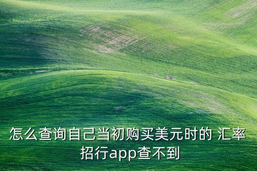 怎么查詢自己當初購買美元時的 匯率 招行app查不到