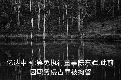 億達(dá)中國(guó):罷免執(zhí)行董事陳東輝,此前因職務(wù)侵占罪被拘留