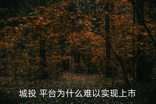 地方政府融資平臺(tái)公司,什么是政府融資平臺(tái)公司