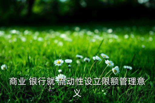 銀行流動(dòng)性風(fēng)險(xiǎn)偏好