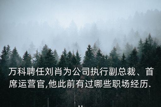  萬科聘任劉肖為公司執(zhí)行副總裁、首席運(yùn)營官,他此前有過哪些職場經(jīng)歷...