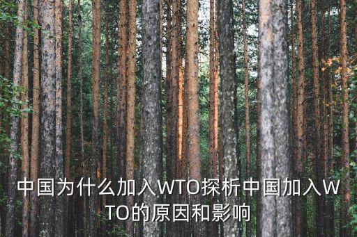 中國(guó)為什么加入WTO探析中國(guó)加入WTO的原因和影響