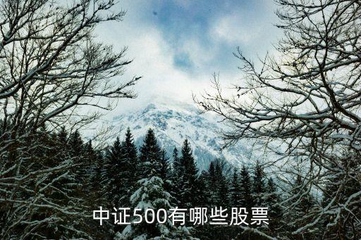 中證500有哪些股票