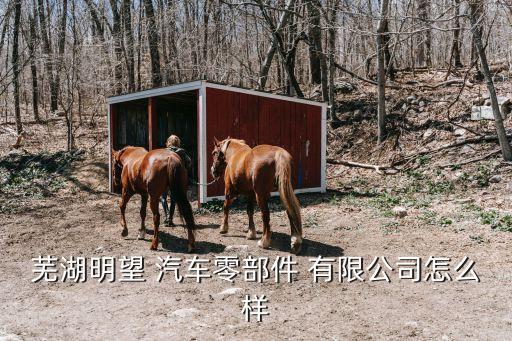 蕪湖市輕型汽車配件有限公司,上海和達汽車配件有限公司