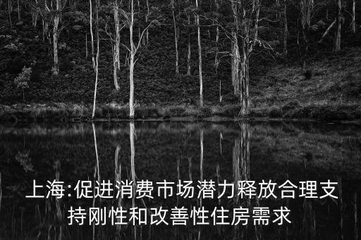  上海:促進(jìn)消費(fèi)市場潛力釋放合理支持剛性和改善性住房需求