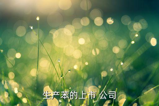 生產(chǎn)苯的上市 公司