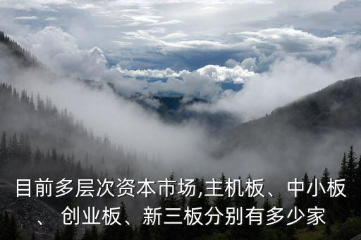 目前多層次資本市場,主機(jī)板、中小板、 創(chuàng)業(yè)板、新三板分別有多少家