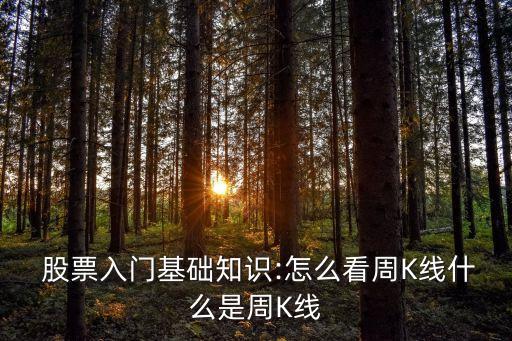  股票入門基礎(chǔ)知識:怎么看周K線什么是周K線