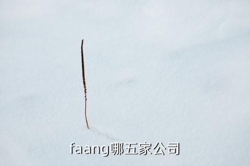 faang哪五家公司