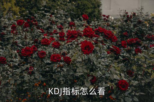 KDJ指標怎么看