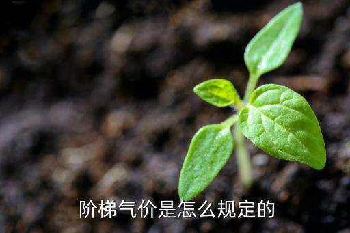  階梯氣價是怎么規(guī)定的