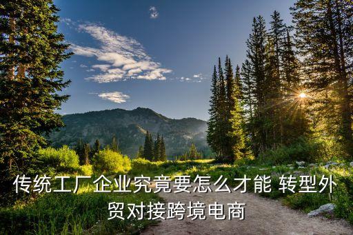 純貿(mào)易公司轉(zhuǎn)型,貿(mào)易公司轉(zhuǎn)型升級(jí)的案例