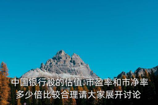  中國(guó)銀行股的估值:市盈率和市凈率多少倍比較合理請(qǐng)大家展開討論