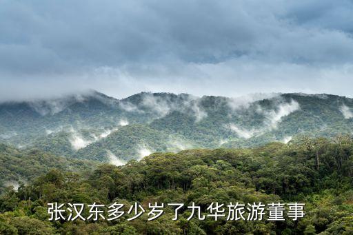 重慶啤酒安徽九華山有限公司,安徽九華山文化旅游集團(tuán)有限公司待遇