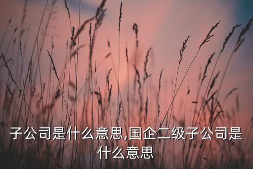 下屬子公司是什么意思,國企二級子公司是什么意思