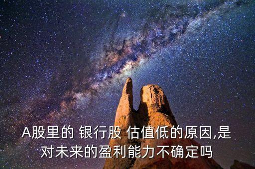 A股里的 銀行股 估值低的原因,是對未來的盈利能力不確定嗎