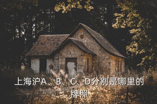  上海滬A、B、C、D分別是哪里的 牌照