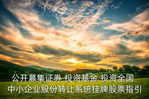 公開募集證券 投資基金 投資全國 中小企業(yè)股份轉讓系統(tǒng)掛牌股票指引