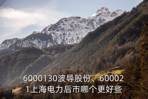 6000130波導(dǎo)股份、600021上海電力后市哪個更好些