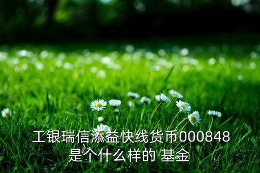  工銀瑞信添益快線貨幣000848是個什么樣的 基金