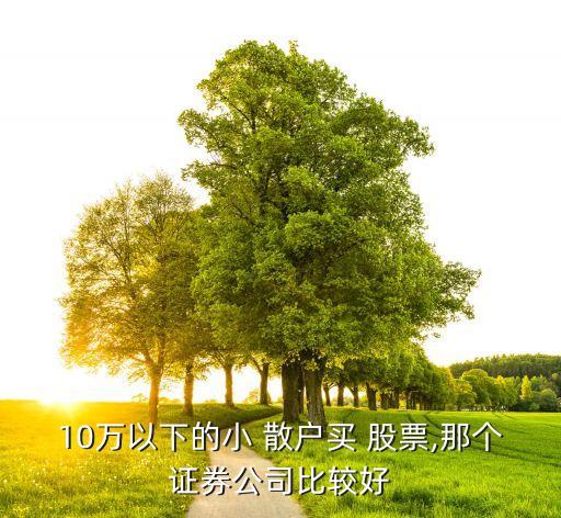 10萬以下的小 散戶買 股票,那個證券公司比較好