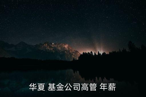 基金總經(jīng)理年薪,基金公司高管年薪